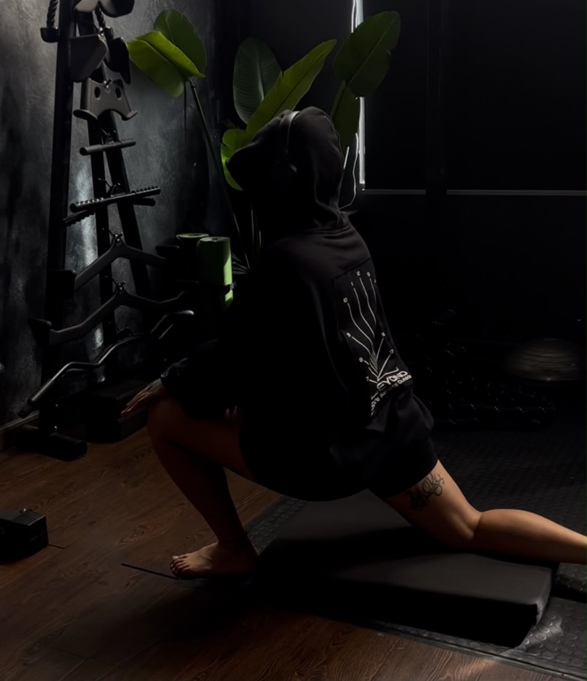 Dollbeastgym